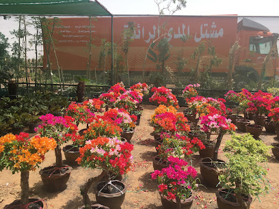 Al-Mada Al-Raedah Nursery مشتل المدى الرائده - Dahaban - +966 54 149 0337
