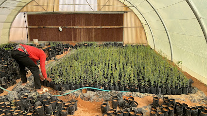 مزارع ومشاتل ريف النفود -  - +966 56 827 3376