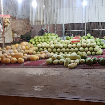 ابو فيصل لبيع الحبحب والقرعيات - Al Madinah Al Munawwarah -