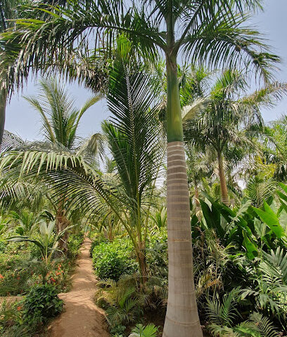 مشتل جنى لصاحبه المهندس طارق الحضرمي - Jeddah - +966 54 647 2772