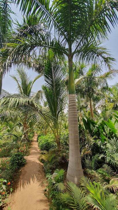 مشتل جنى لصاحبه المهندس طارق الحضرمي - Saudi Arabia|Jeddah 23474|Al Montazah|J894+Q37