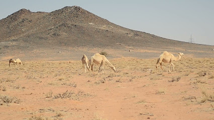 وادي الاديرع بحائل - Hail -