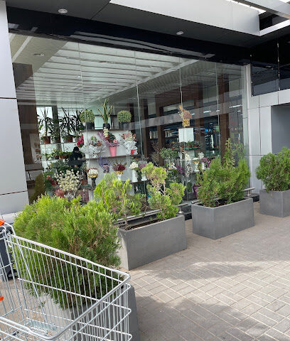 Astra Wholesales - Tabuk - +966 56 962 9894