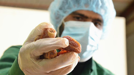 Dates Al Arab - Al Madinah Al Munawwarah - +966 50 424 1156