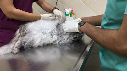 Oka Veterinary Clinic - Dammam - +966 13 825 0750