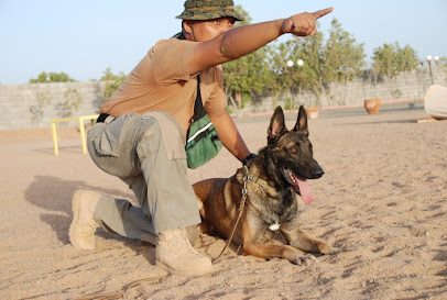 Arabian Kennels K9 Est - Jeddah - +966 56 290 0005