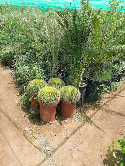 مشاتل زراعيه وتنسيق الحدائق الفهد - Saudi Arabia|Riyadh 12281|RHGA6207، 6207 العليا، 2802|حي المروج