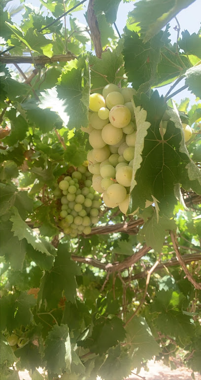 مشتل نسائم - Saudi Arabia|Jeddah 23561|Unnamed Road