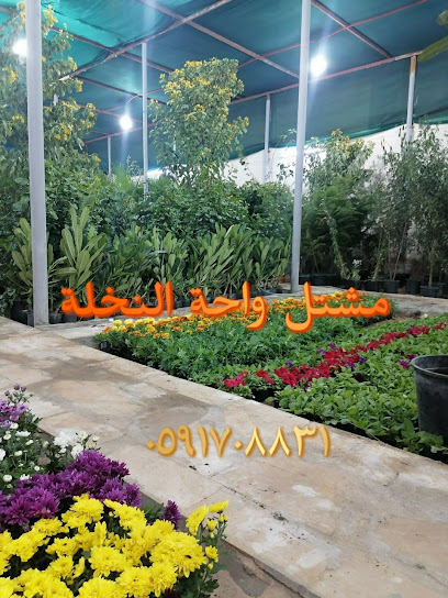 Palm Oasis Nursery - Saudi Arabia|Hafar Al Batin 39912|Al Muruj|طريق الملك فيصل