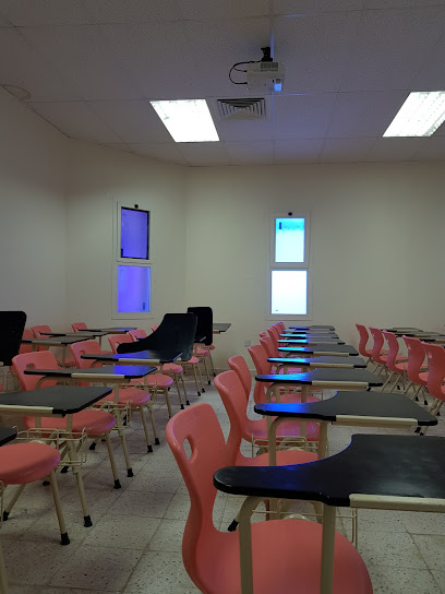 كلية اللغات والترجمة للبنات بابها جامعة الملك خالد - Saudi Arabia|62221