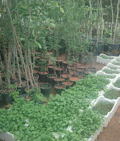 Alkhuzama Nursery - Hail - +966 53 753 8441