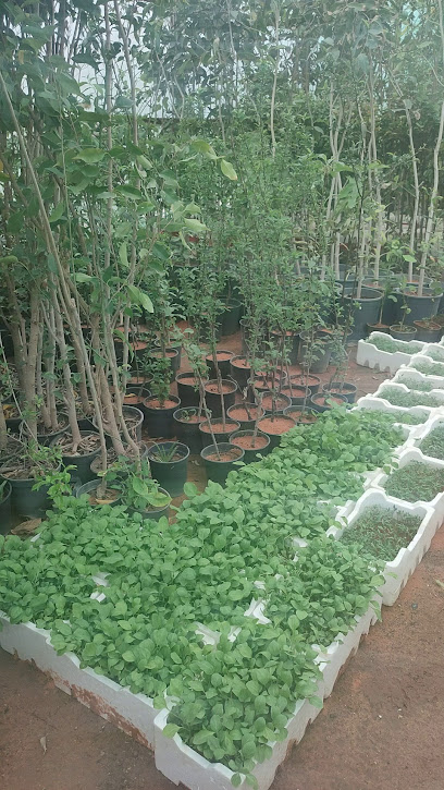 Alkhuzama Nursery - Saudi Arabia|Hail 55481|6281|Al Suwayfilah
