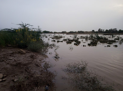 المحمل - جازان - +966 50 528 1831