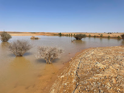 مزرعة فهد بن محمد آل متعب - As Sulayyil - +966 53 333 3862