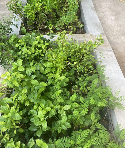 مشاتل سكتة - Hafar Al Batin - +966 59 484 0316