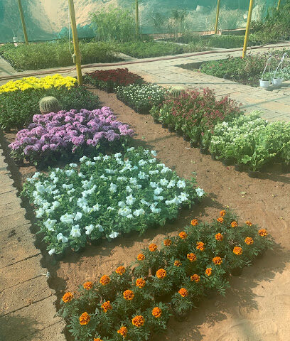 مشتل عبق الحديقة - Buraydah - +966 57 824 6930