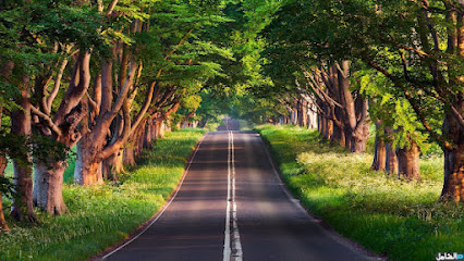 اي شي - Mecca - +966 56 562 4557