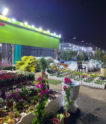 مشتل بروق المواسم - Saihat - +966 56 997 0736