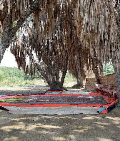 مزرعه الشيخ محمد احمد بحري - Masliyah - +966 50 691 5098