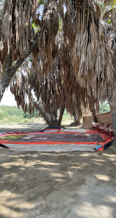 مزرعه الشيخ محمد احمد بحري - Saudi Arabia|Masliyah 87758|FHMC+F3