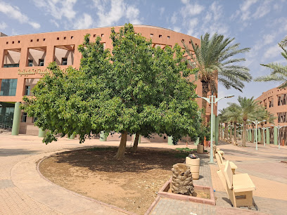 College of Science - Sakaka -