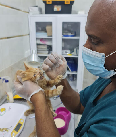 مركز أطباء العصر البيطري للرعاية الاولية - Al Madinah Al Munawwarah - +966 57 056 1176