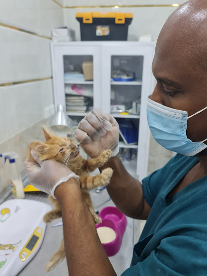 مركز أطباء العصر البيطري للرعاية الاولية - Saudi Arabia|Al Madinah Al Munawwarah 42385|Al Gharra|Salah Adin Al Ayubi Rd