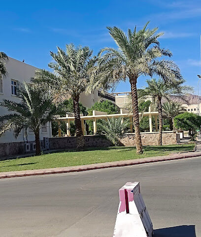 الجامعة الإسلامية - Al Madinah Al Munawwarah -