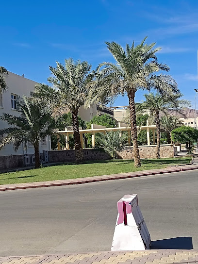 الجامعة الإسلامية - Al Madinah Al Munawwarah 42351