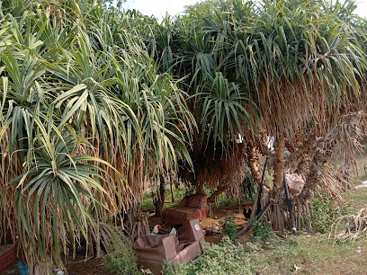 مزرعة الشلال ابو موضي - Abu Arish -