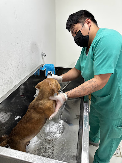 عيادة نبض الرعاية البيطرية | Pulse Care Pet Clinic - Riyadh 22254