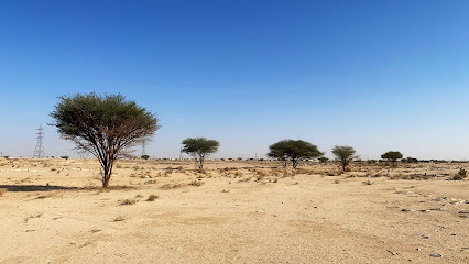 شعيّب الهيضل - Al Duwadimi -