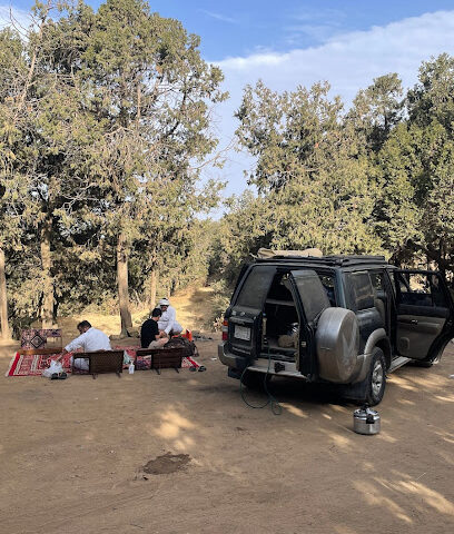 غابة همام وخالد -  -