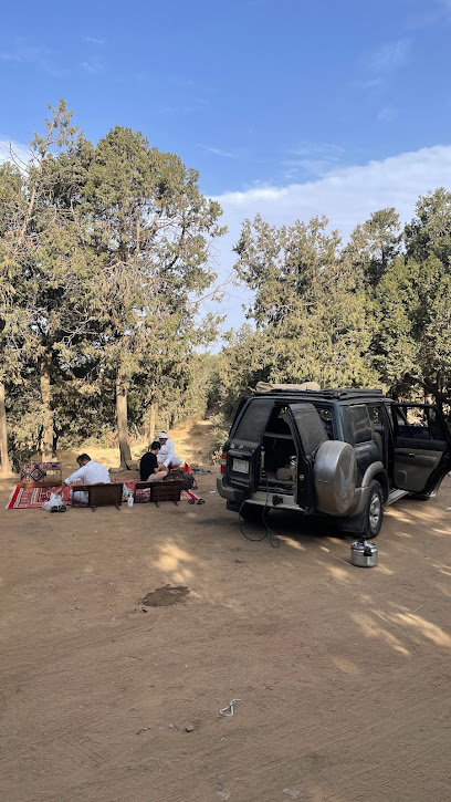 غابة همام وخالد - Saudi Arabia|Unnamed Road