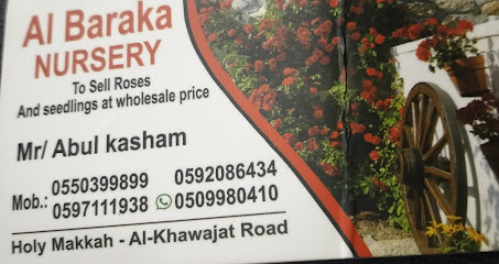 Al Baraka Nursery wholesale - Mecca - +966 55 039 9899