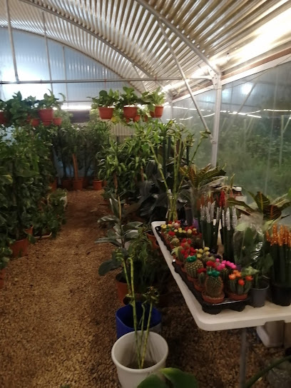 مشتل سديم سدير - Saudi Arabia|Al Majma'ah 15371|Al Marqab|W85R+HQG