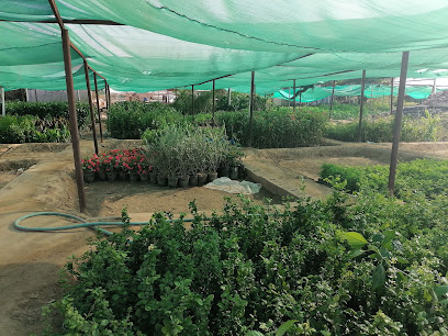 مشتل وديان - Al Jumum - +966 54 236 9911