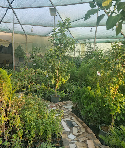 منبت الربيع manbat alrabee - Buraydah - +966 57 005 3350