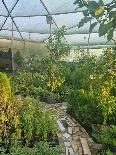 منبت الربيع manbat alrabee - Saudi Arabia|Buraydah 52352|Al Uraymdi|King Faisal Rd