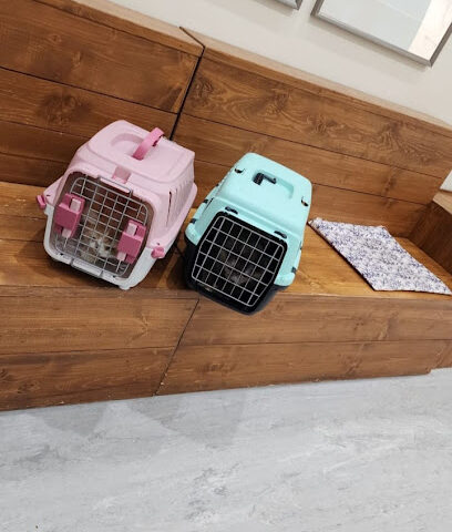 عيادة اليف البيطرية Aleef Vet clinic - Riyadh - +966 9200 22541