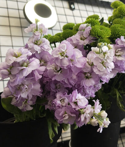 برج مياه الحزم - Ad Dilam -