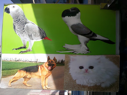 الهدي البيطريه - Tabuk - +966 53 120 6162