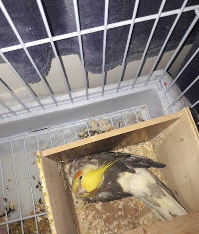 Hyundai part online delivery - Buraydah - +966 57 830 0420