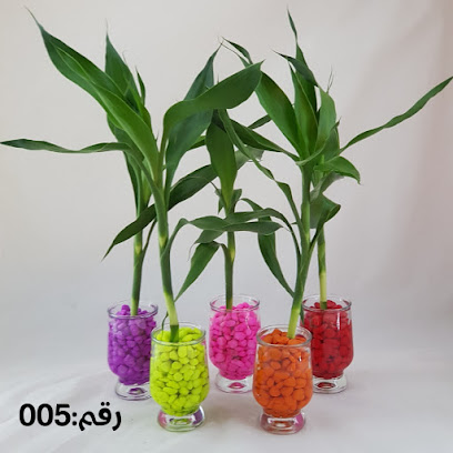 مشتل زهور السادة - Al Qatif - +966 54 600 5608