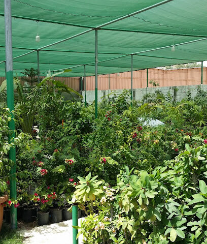 مشتل البستان - Jeddah - +966 58 137 5400