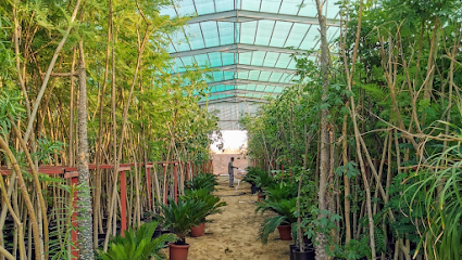 مشتل الفتح - Buraydah - +966 50 118 8188