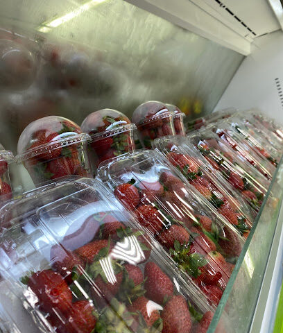 مؤسسة طازجة للتجارة - Yanbu - +966 50 694 9794