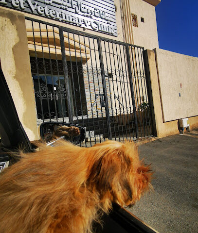 Royal Pet Veterinary Clinics - Jeddah - +966 50 477 0990