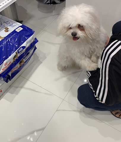 عيادة الامل المشرق البيطرية - Riyadh - +966 53 990 8899