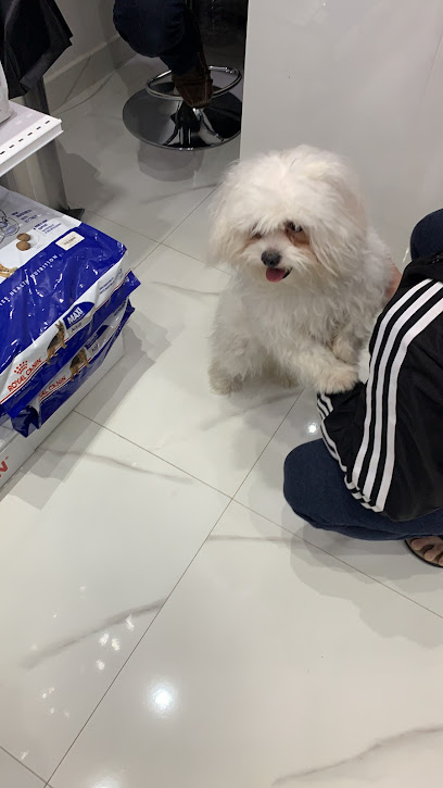 عيادة الامل المشرق البيطرية - Saudi Arabia|Riyadh 12214|8898 العليا ، الرياض 2695 12214 ، السعودية